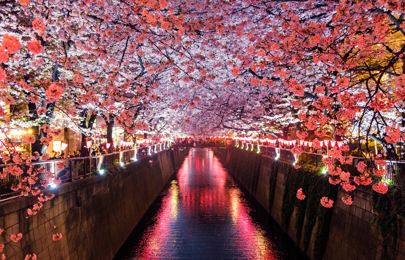 春の装いを思わせる、明るい光と季節の景色